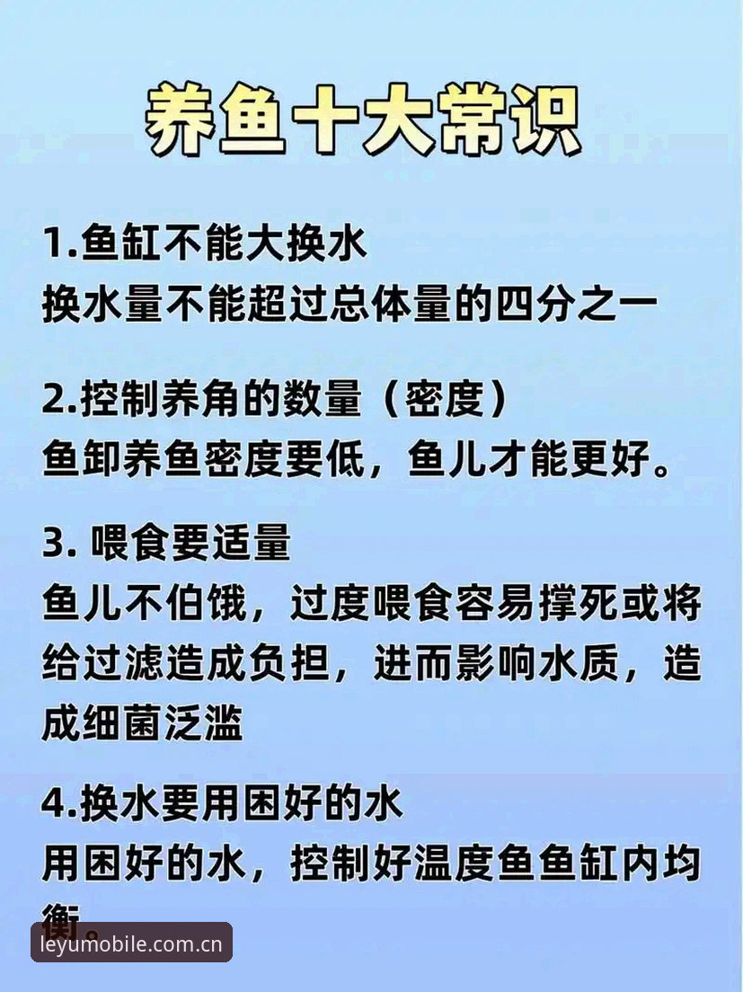 5个实用技巧帮你判断乐鱼实时资讯哪个好——老用户3年经验分享
